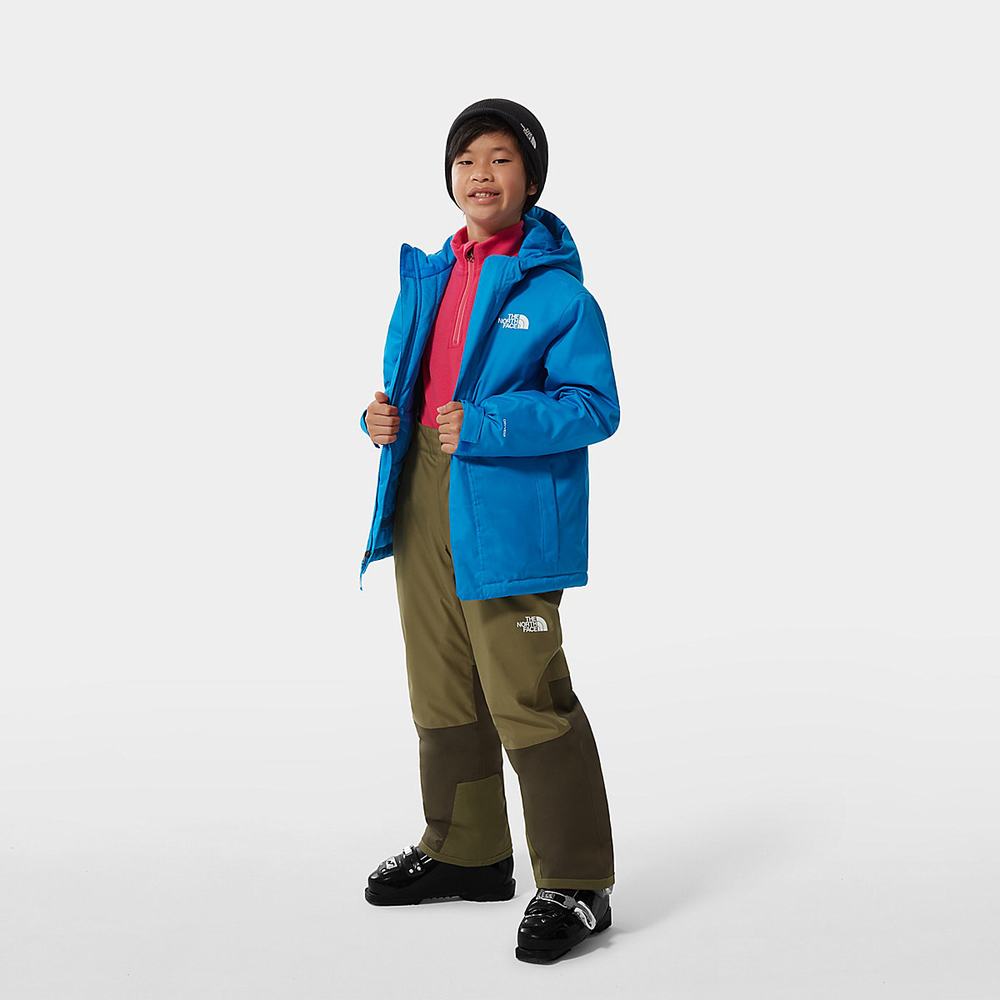 Nohavice The North Face Snowquest Bib Chlapcenske Olivovo Zelená Zelene | NHO-318657