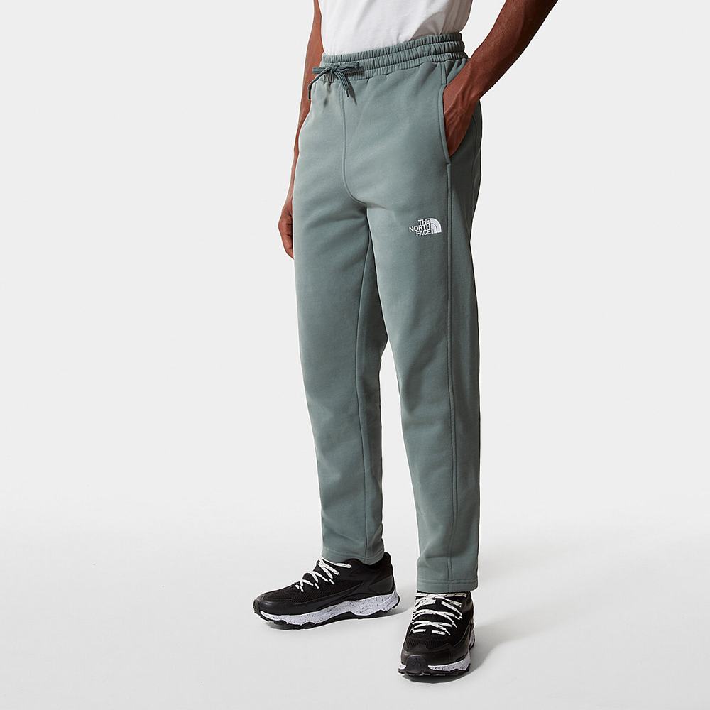 Nohavice The North Face Standard Panske Zelene | ULA-130246