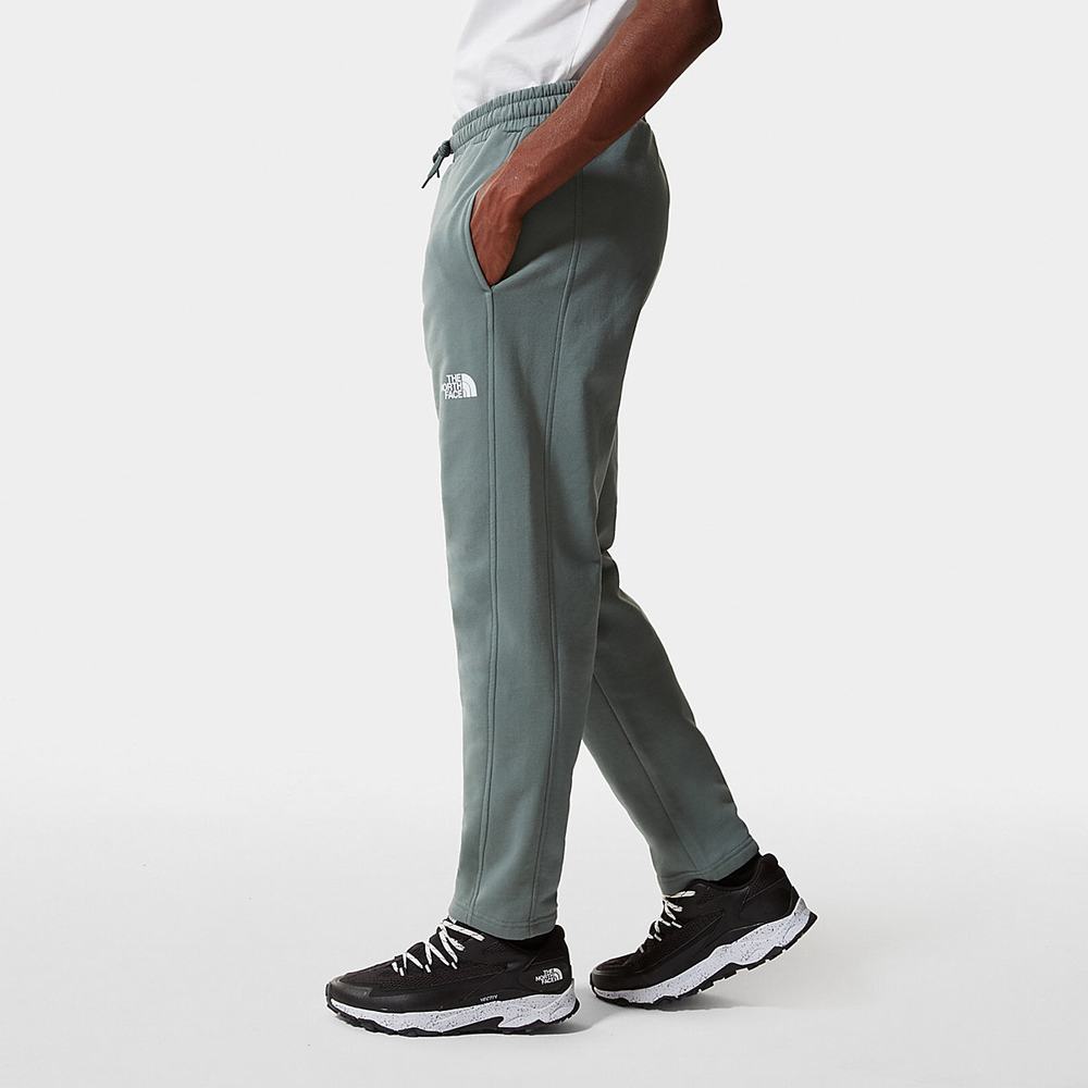 Nohavice The North Face Standard Panske Zelene | ULA-130246