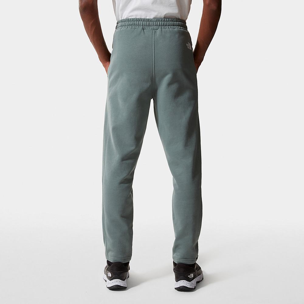 Nohavice The North Face Standard Panske Zelene | ULA-130246