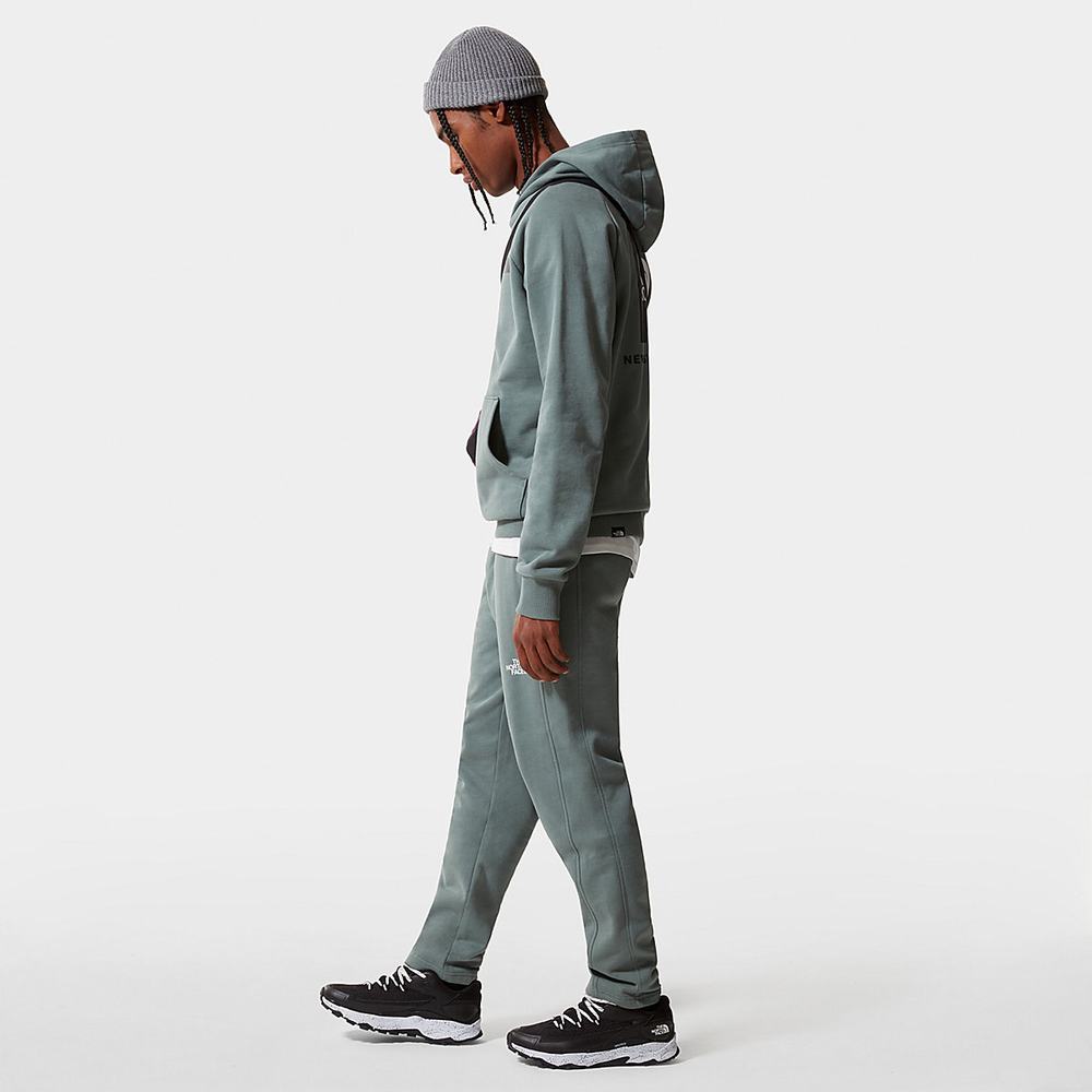 Nohavice The North Face Standard Panske Zelene | ULA-130246