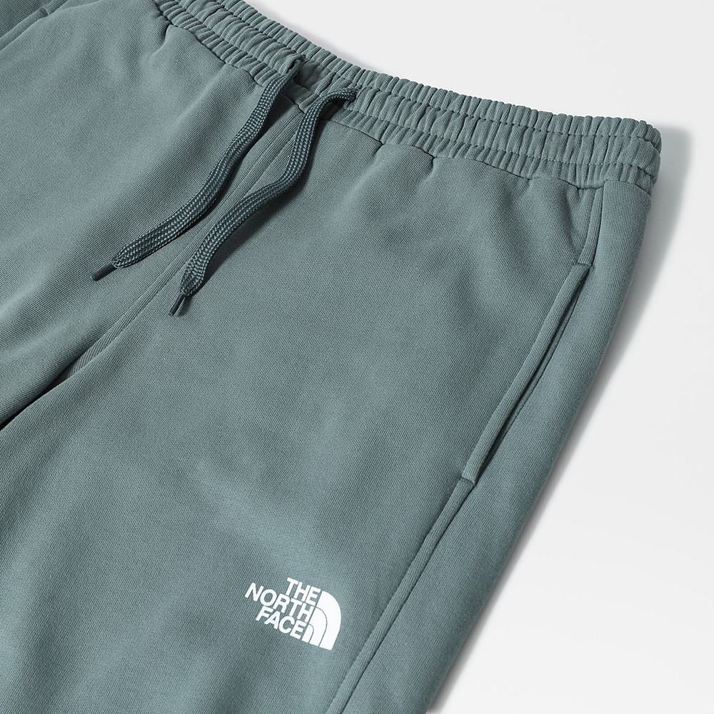 Nohavice The North Face Standard Panske Zelene | ULA-130246