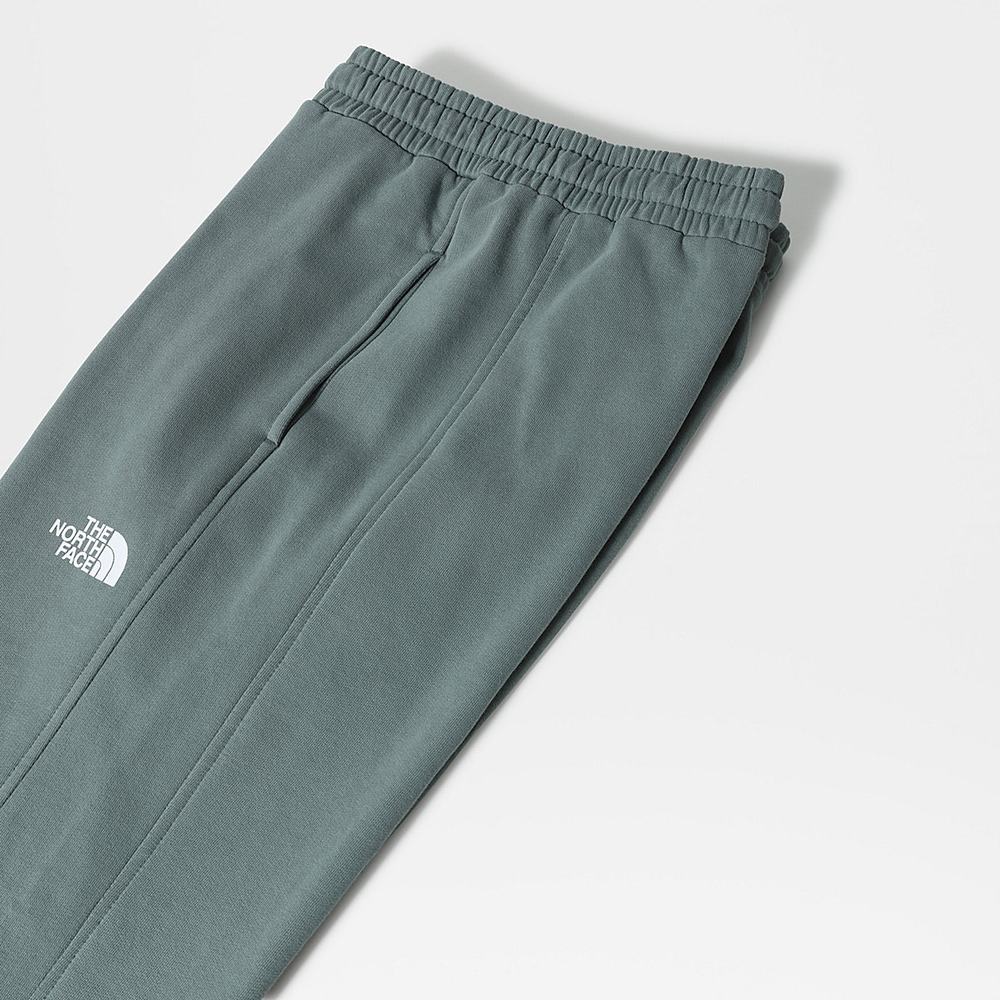 Nohavice The North Face Standard Panske Zelene | ULA-130246