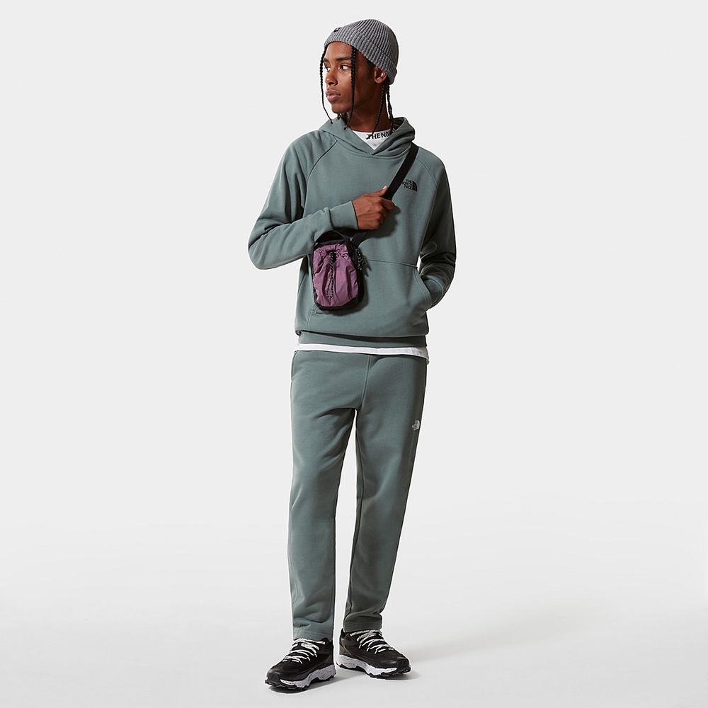 Nohavice The North Face Standard Panske Zelene | ULA-130246