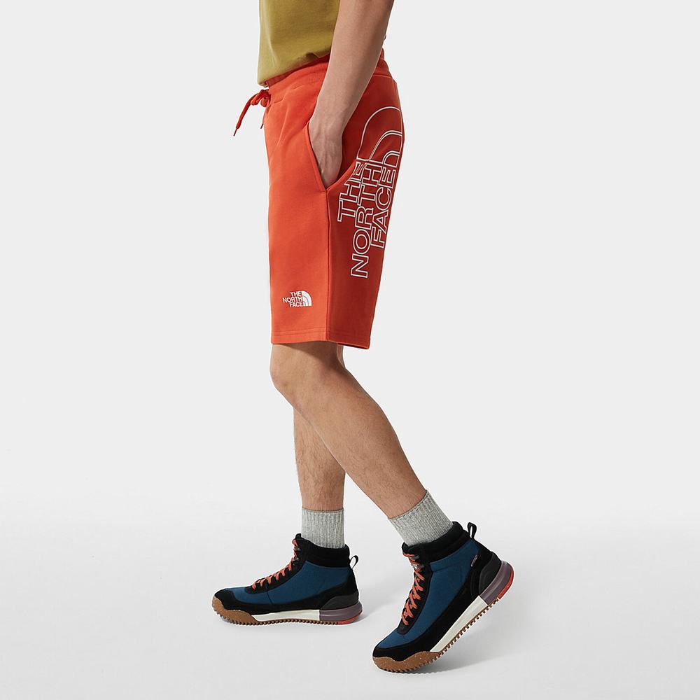 Nohavice The North Face Summer Panske Oranžové | XLF-864903