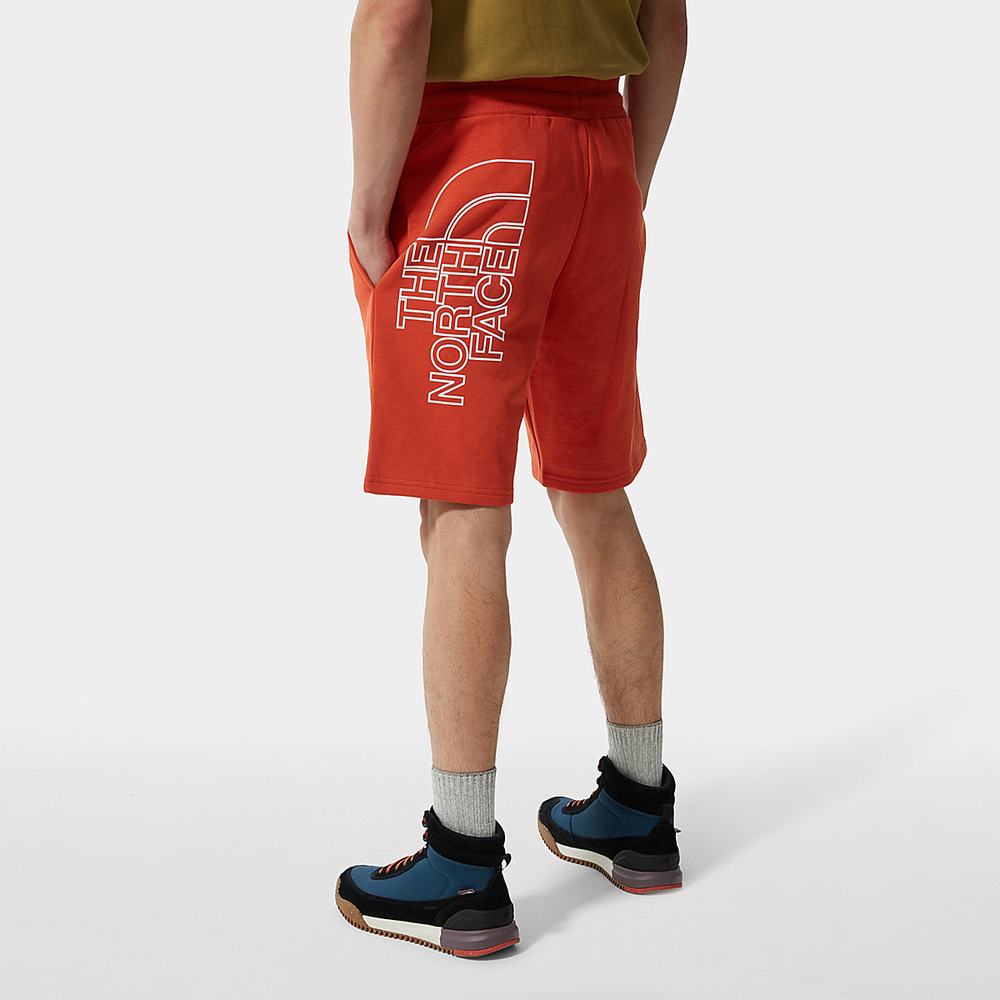 Nohavice The North Face Summer Panske Oranžové | XLF-864903
