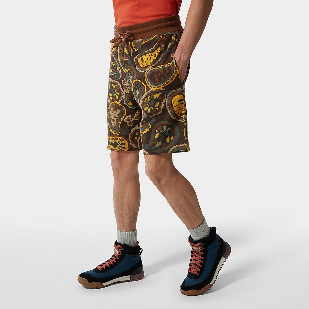 Nohavice The North Face Summer Panske Tmavo Zelene Hnede Siva | CJT-263104