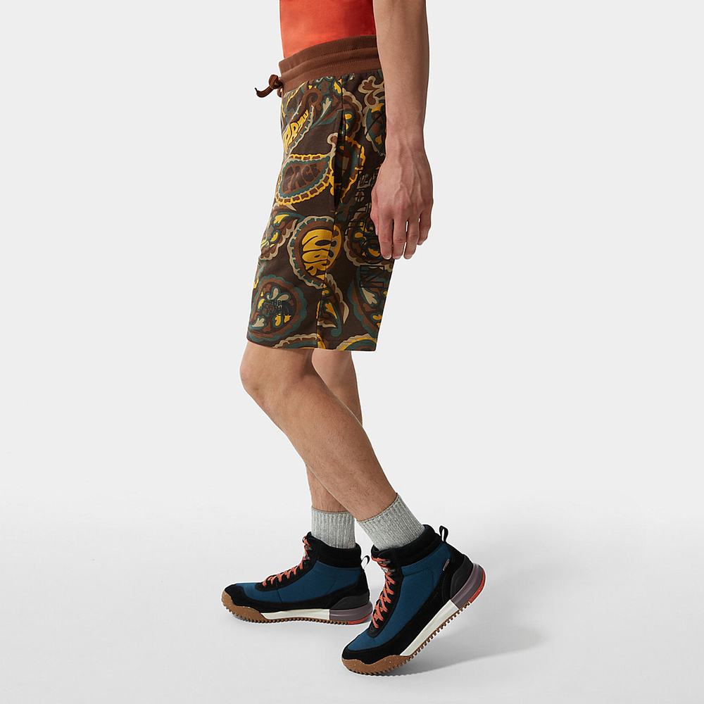 Nohavice The North Face Summer Panske Tmavo Zelene Hnede Siva | CJT-263104
