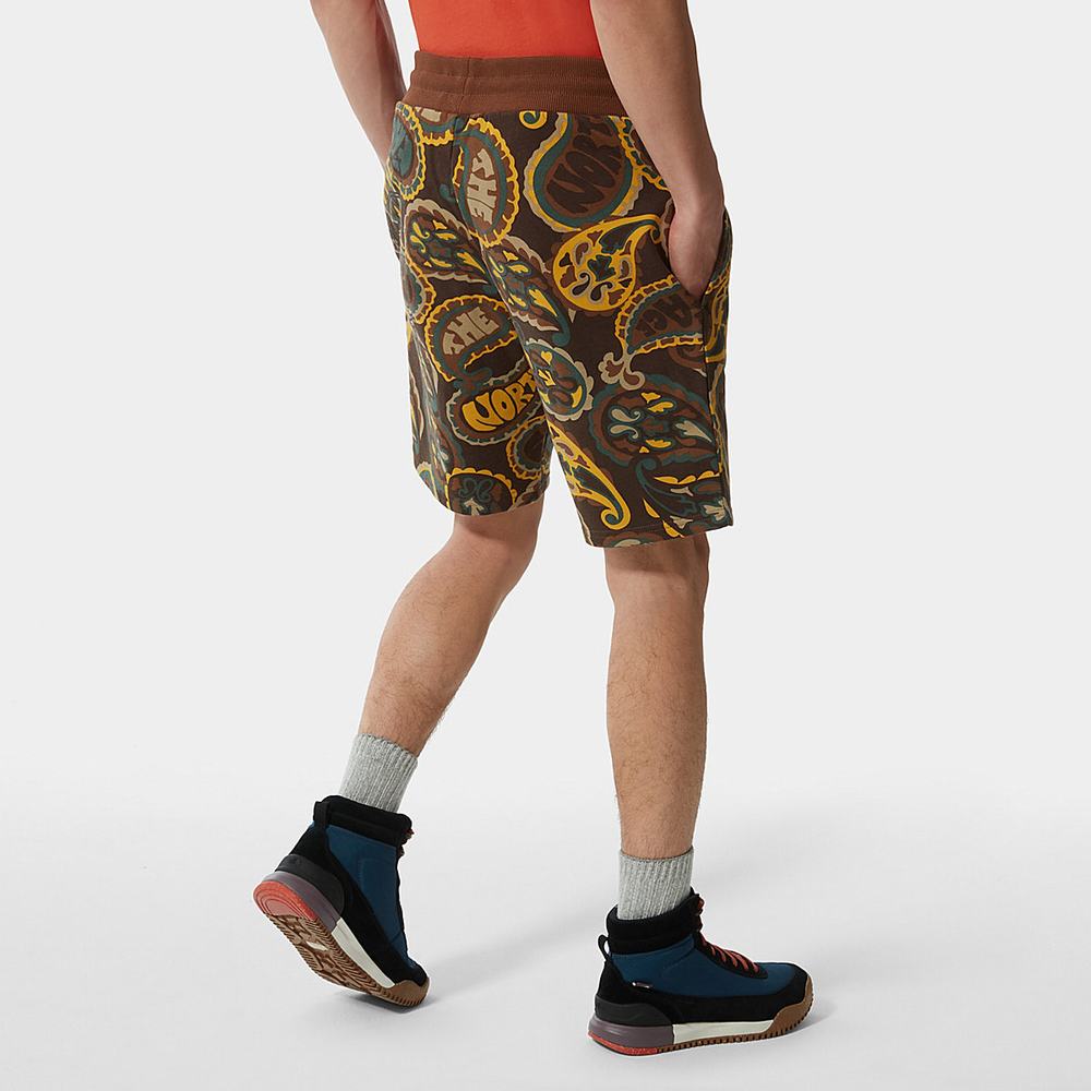 Nohavice The North Face Summer Panske Tmavo Zelene Hnede Siva | CJT-263104