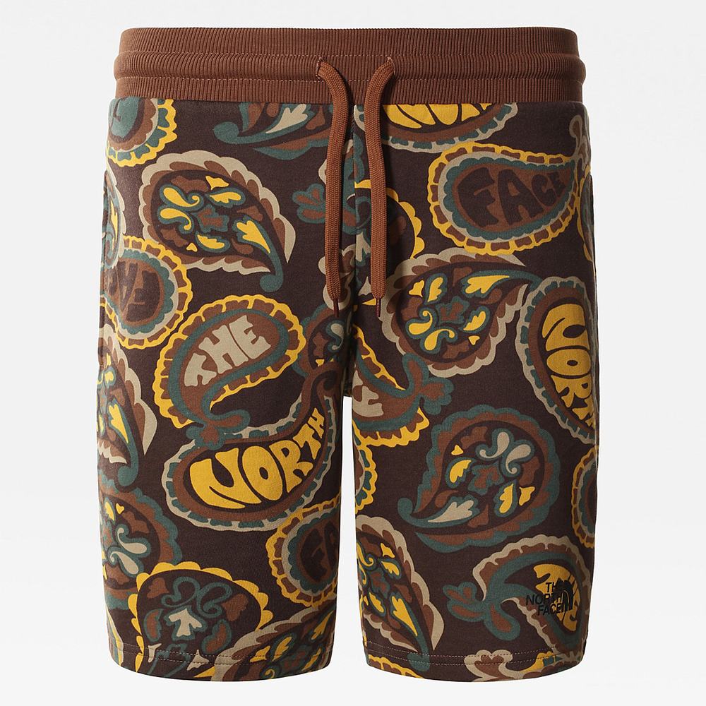 Nohavice The North Face Summer Panske Tmavo Zelene Hnede Siva | CJT-263104