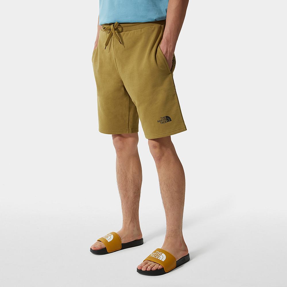 Nohavice The North Face Summer Panske Zelene | YLJ-458396