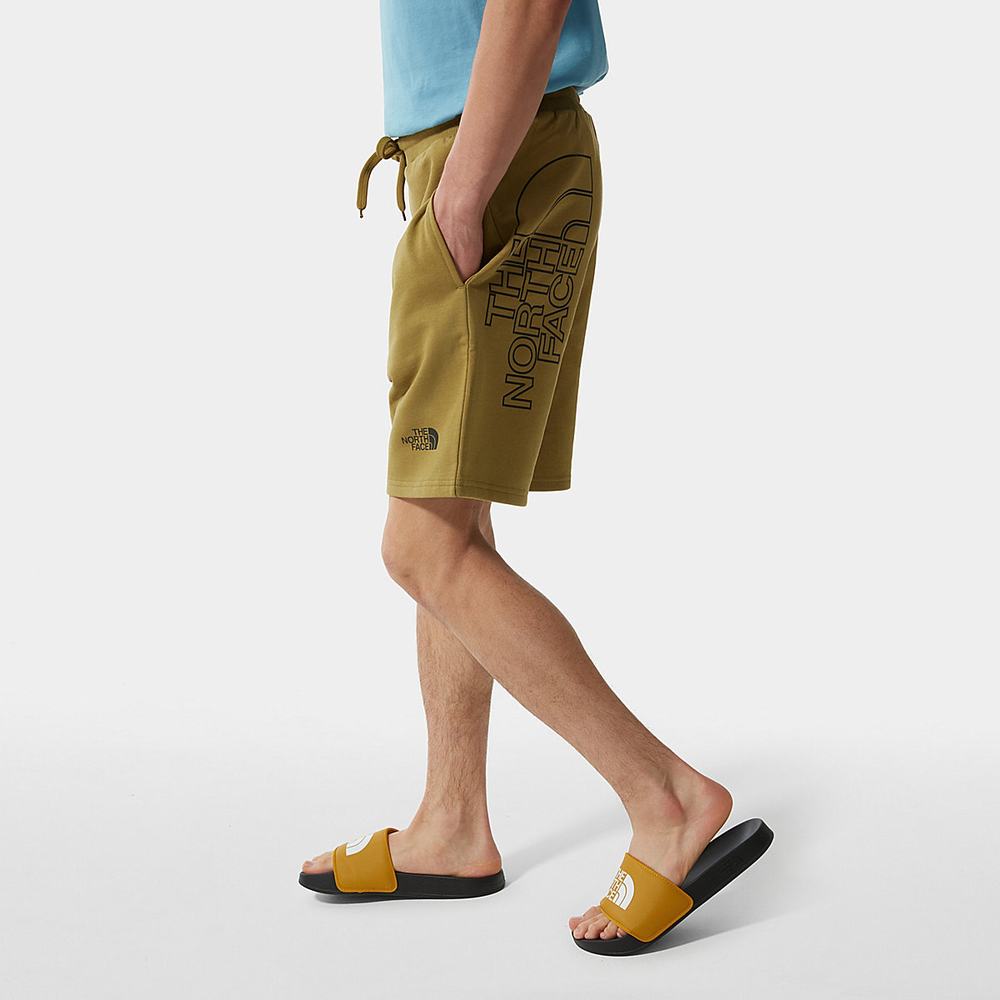 Nohavice The North Face Summer Panske Zelene | YLJ-458396