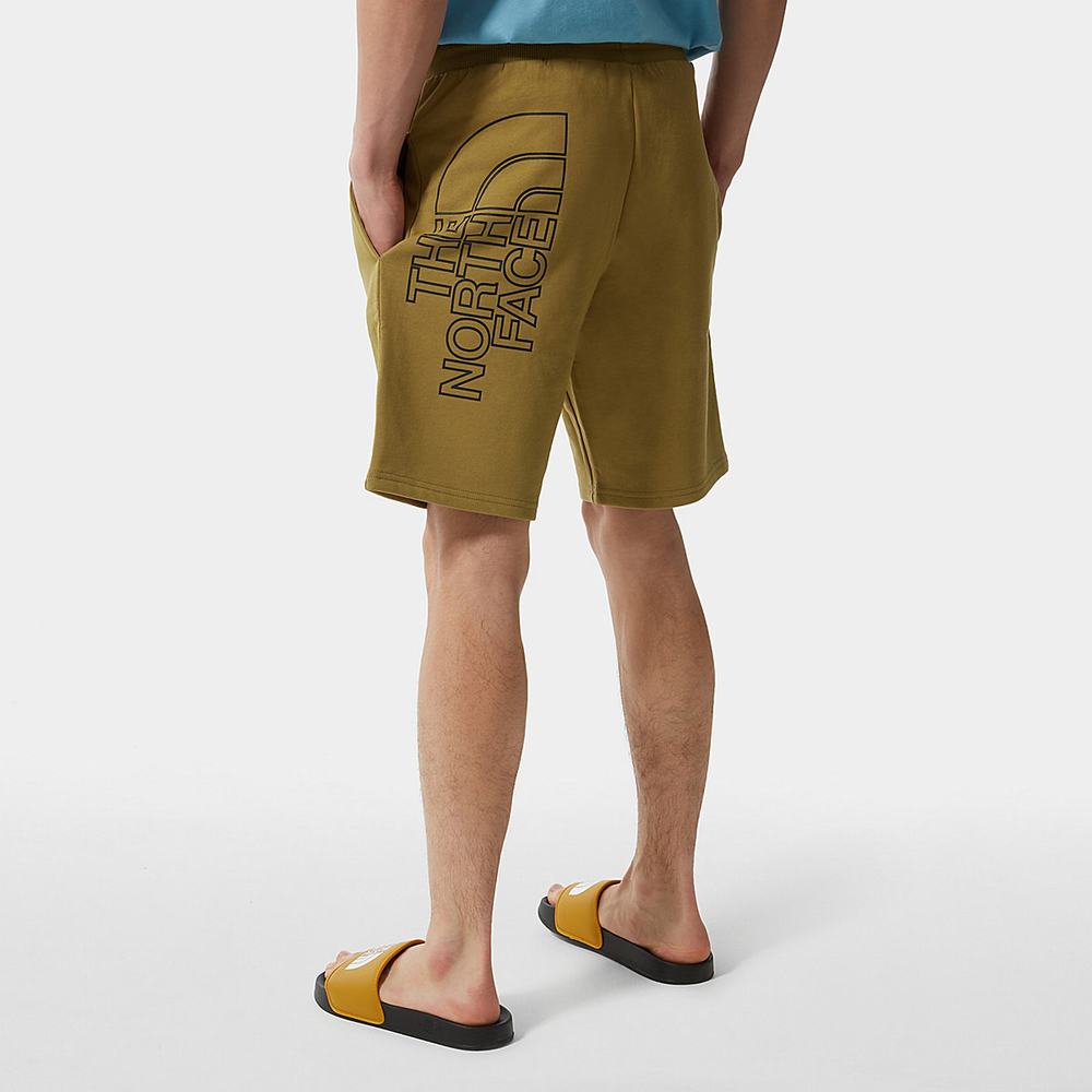 Nohavice The North Face Summer Panske Zelene | YLJ-458396