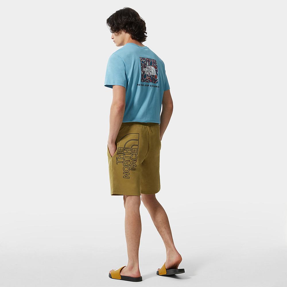 Nohavice The North Face Summer Panske Zelene | YLJ-458396