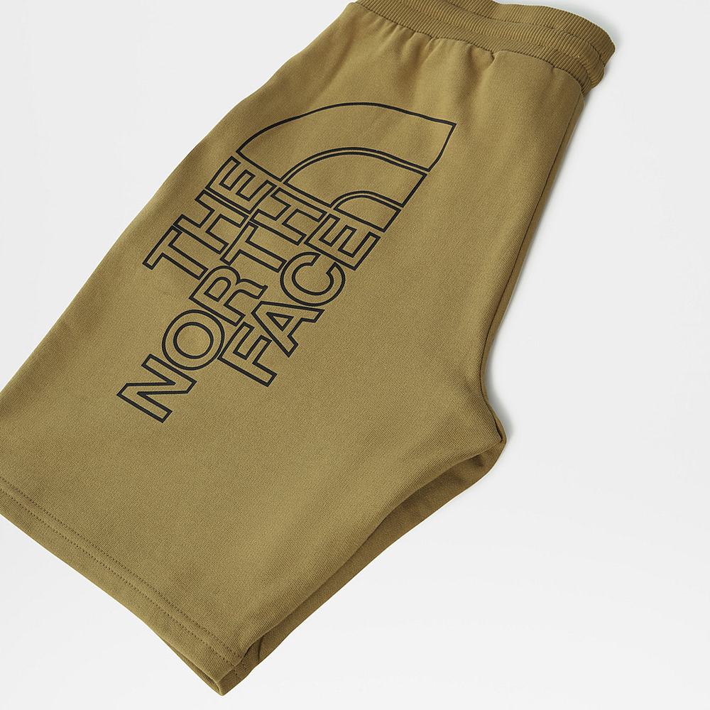 Nohavice The North Face Summer Panske Zelene | YLJ-458396