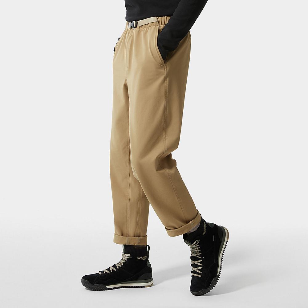 Nohavice The North Face TECH EASY Panske Hnede | XFD-840753