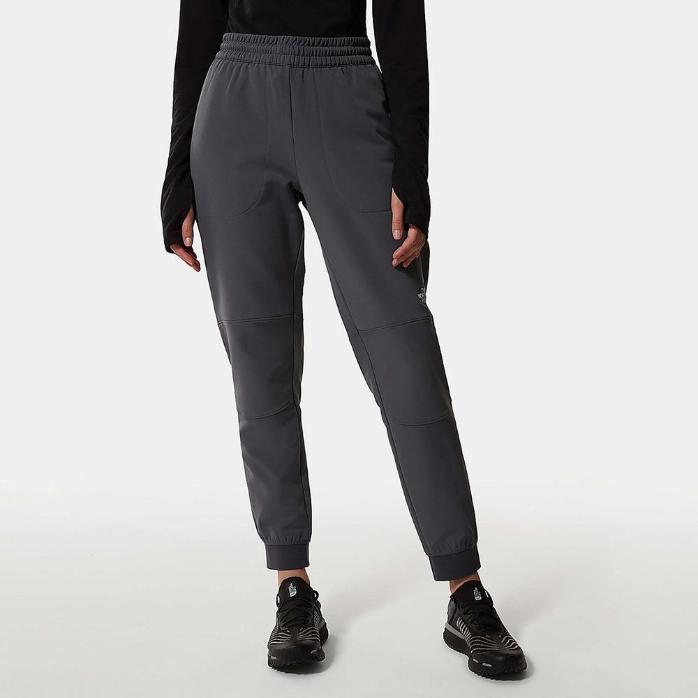 Nohavice The North Face TEKWARE FLEECE Damske Siva | FZG-620539