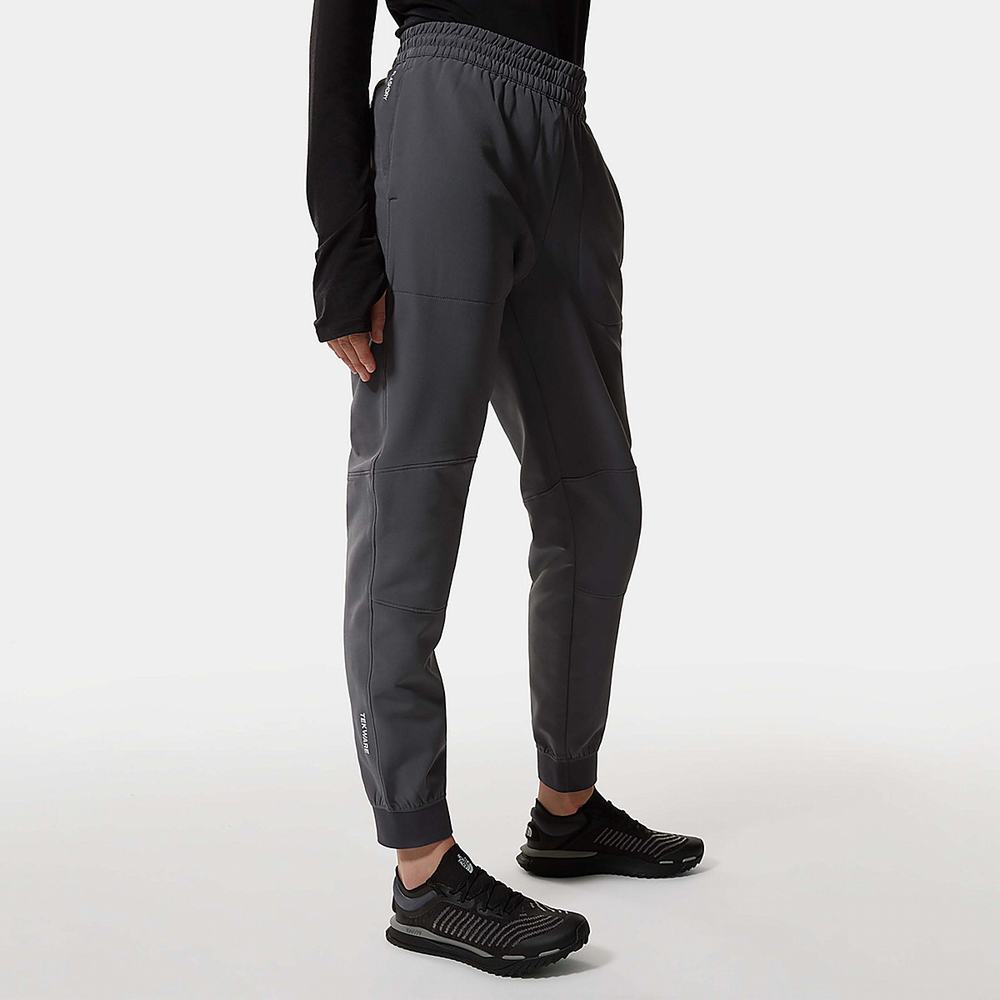 Nohavice The North Face TEKWARE FLEECE Damske Siva | FZG-620539