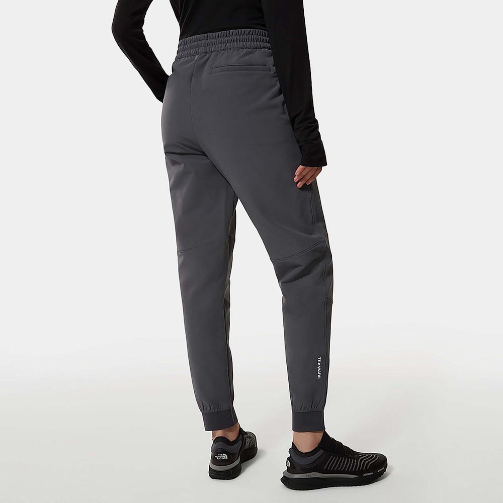Nohavice The North Face TEKWARE FLEECE Damske Siva | FZG-620539