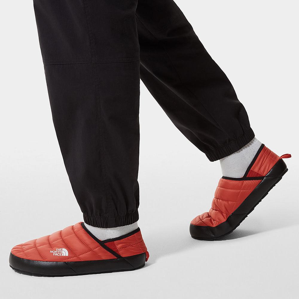 Pantofle The North Face THERMOBALL™ V Traction Mule Panske Biele | HAB-074162