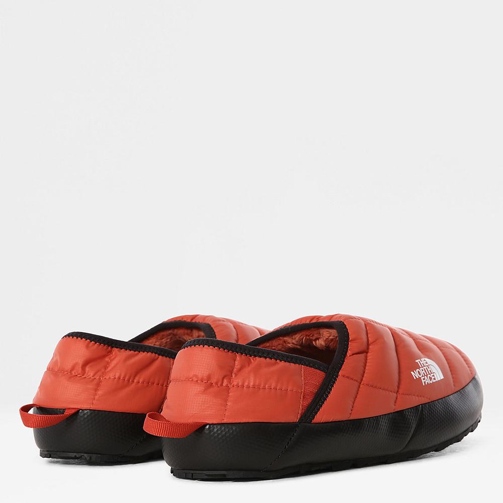 Pantofle The North Face THERMOBALL™ V Traction Mule Panske Biele | HAB-074162
