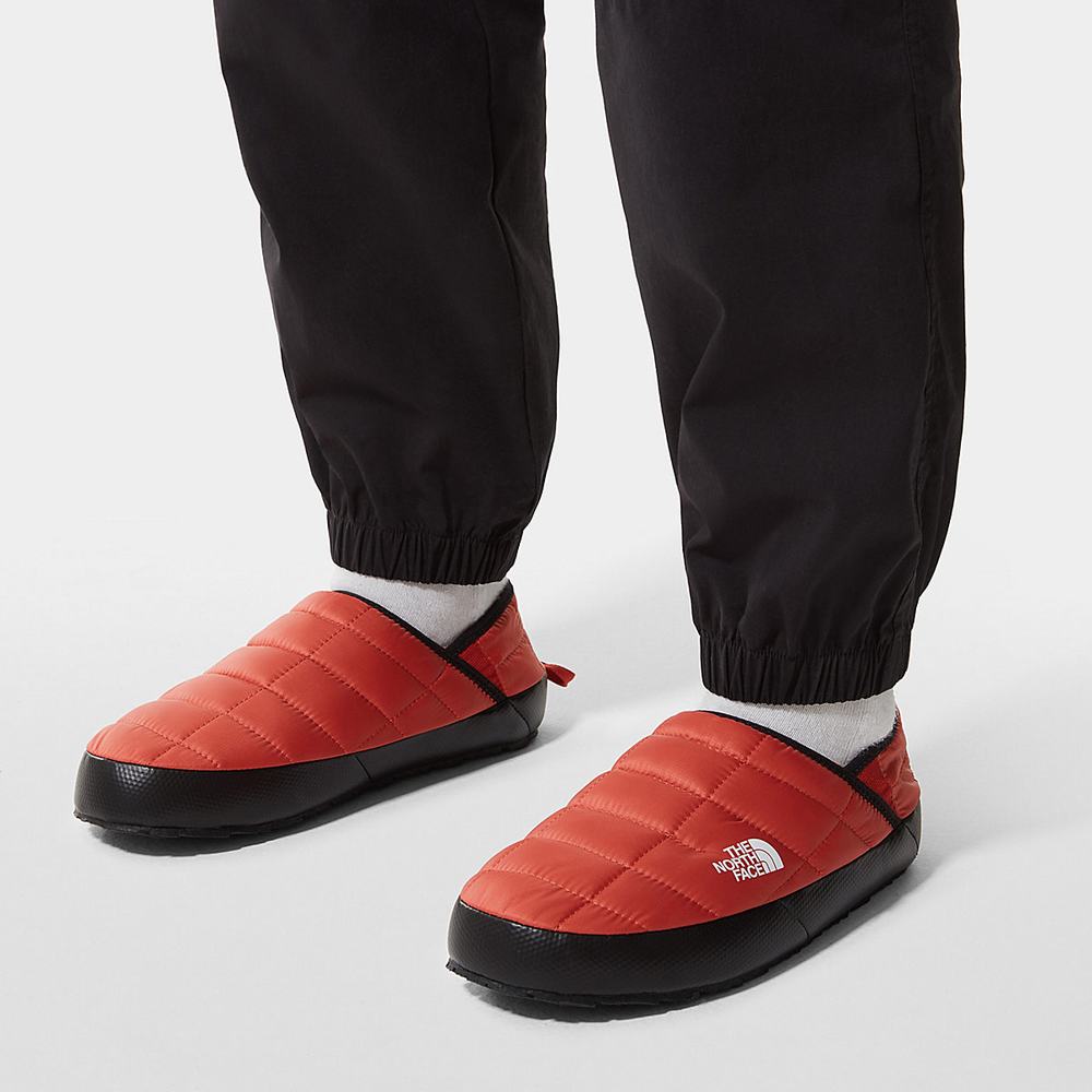 Pantofle The North Face THERMOBALL™ V Traction Mule Panske Biele | HAB-074162