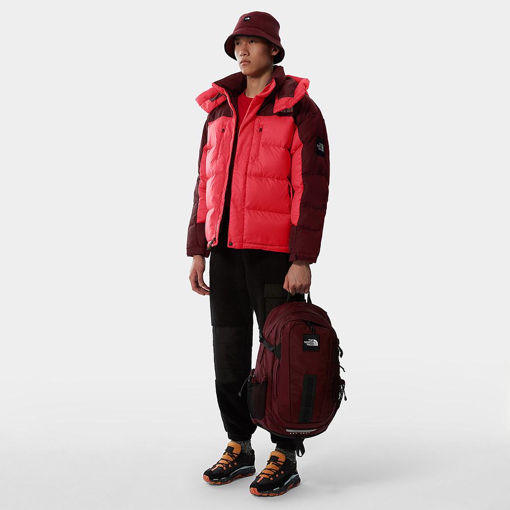Parka The North Face SEARCH & RESCUE HIMALAYAN Panske Ruzove Červené | PQN-657893