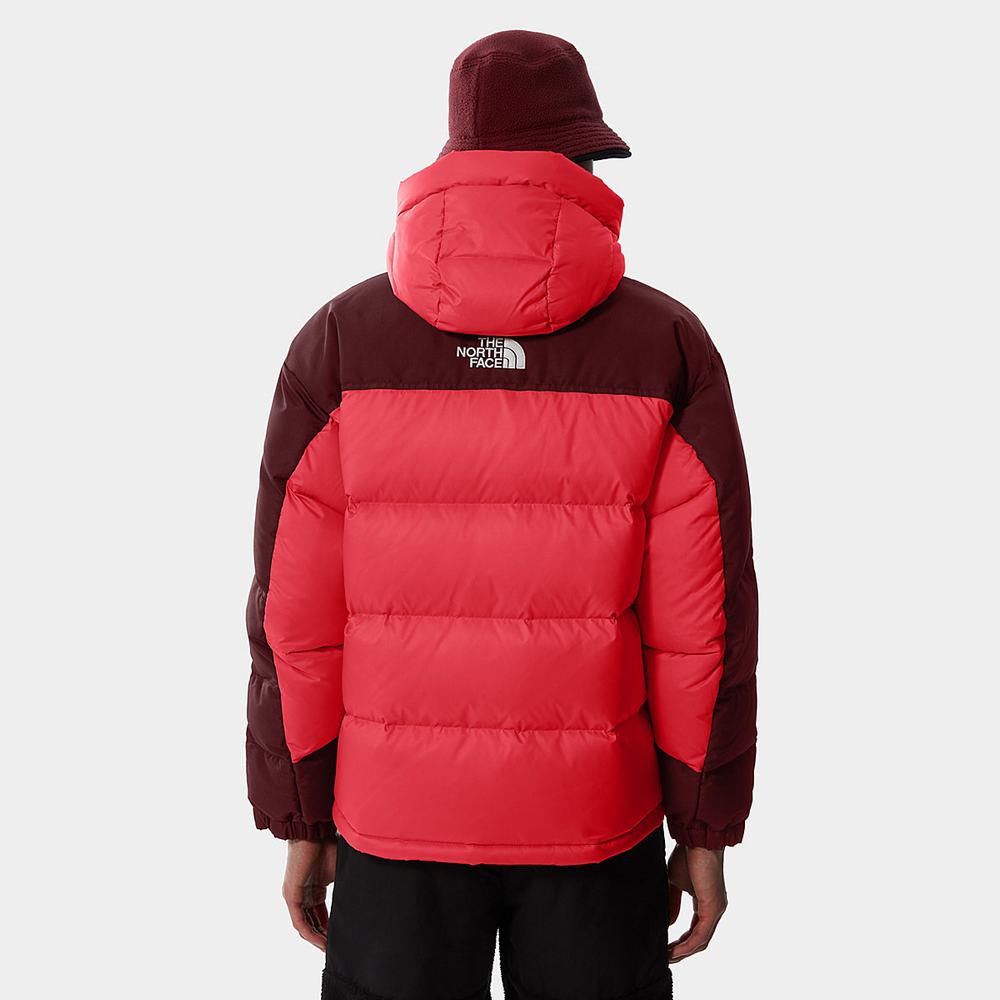 Parka The North Face SEARCH & RESCUE HIMALAYAN Panske Ruzove Červené | PQN-657893