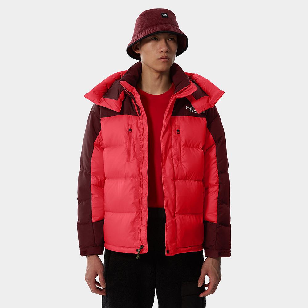 Parka The North Face SEARCH & RESCUE HIMALAYAN Panske Ruzove Červené | PQN-657893