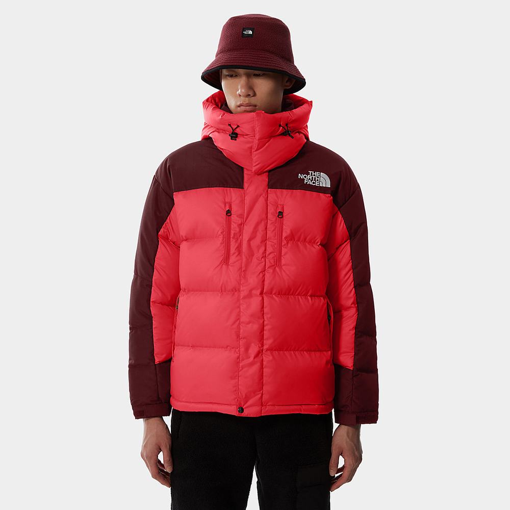 Parka The North Face SEARCH & RESCUE HIMALAYAN Damske Ruzove Červené | QHF-845903