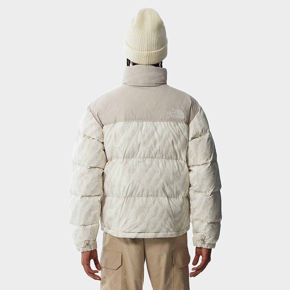 Páperová Bunda The North Face 1996 PRINTED RETRO NUPTSE Panske Strieborne Siva | KNX-895427