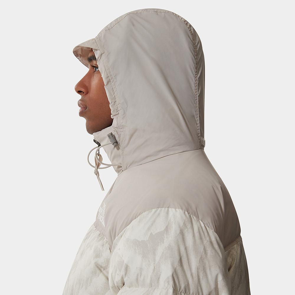 Páperová Bunda The North Face 1996 PRINTED RETRO NUPTSE Panske Strieborne Siva | KNX-895427
