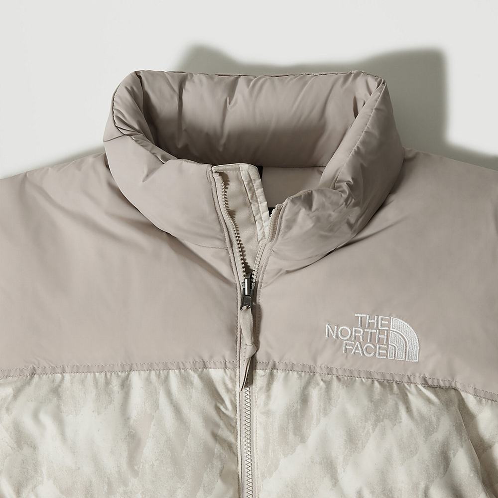 Páperová Bunda The North Face 1996 PRINTED RETRO NUPTSE Panske Strieborne Siva | KNX-895427