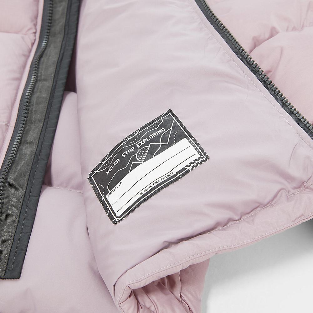 Páperová Bunda The North Face 1996 Retro Nuptse Chlapcenske Siva Nachový | AME-718625