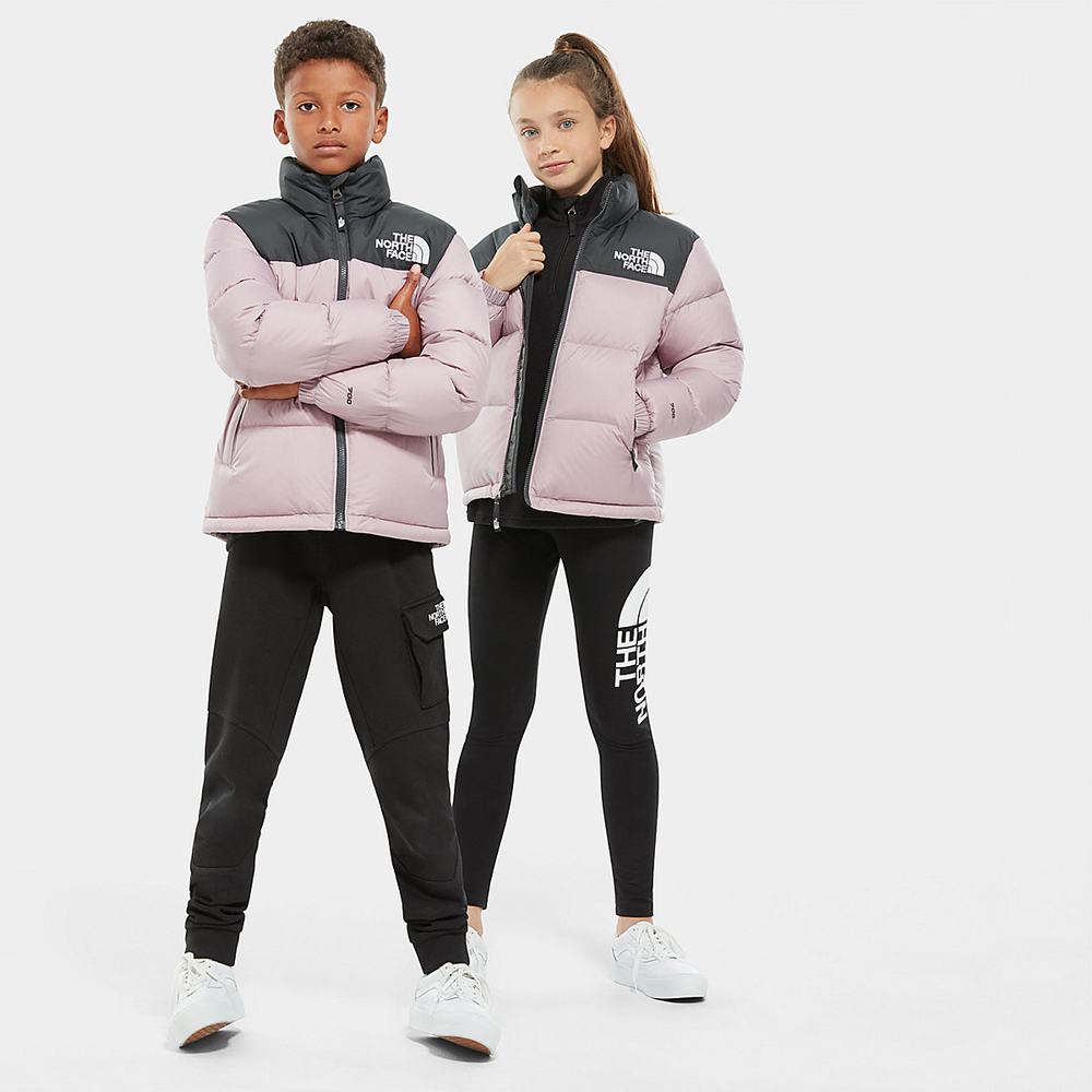 Páperová Bunda The North Face 1996 Retro Nuptse Chlapcenske Siva Nachový | AME-718625
