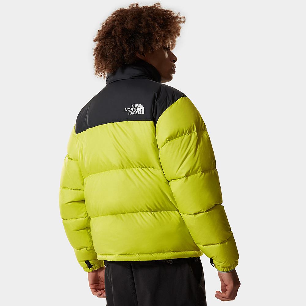 Páperová Bunda The North Face 1996 Retro Nuptse Packable Panske Zelene | BGE-571349