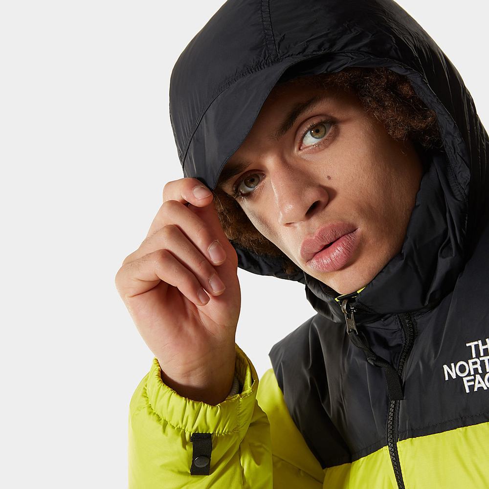 Páperová Bunda The North Face 1996 Retro Nuptse Packable Panske Zelene | BGE-571349