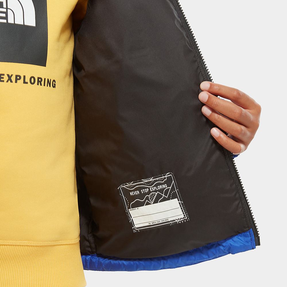 Páperová Bunda The North Face 1996 Retro Nuptse Dievcenske Modre | DFJ-725901