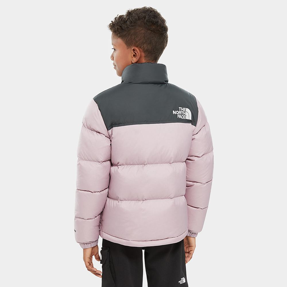 Páperová Bunda The North Face 1996 Retro Nuptse Dievcenske Siva Nachový | JSW-872904