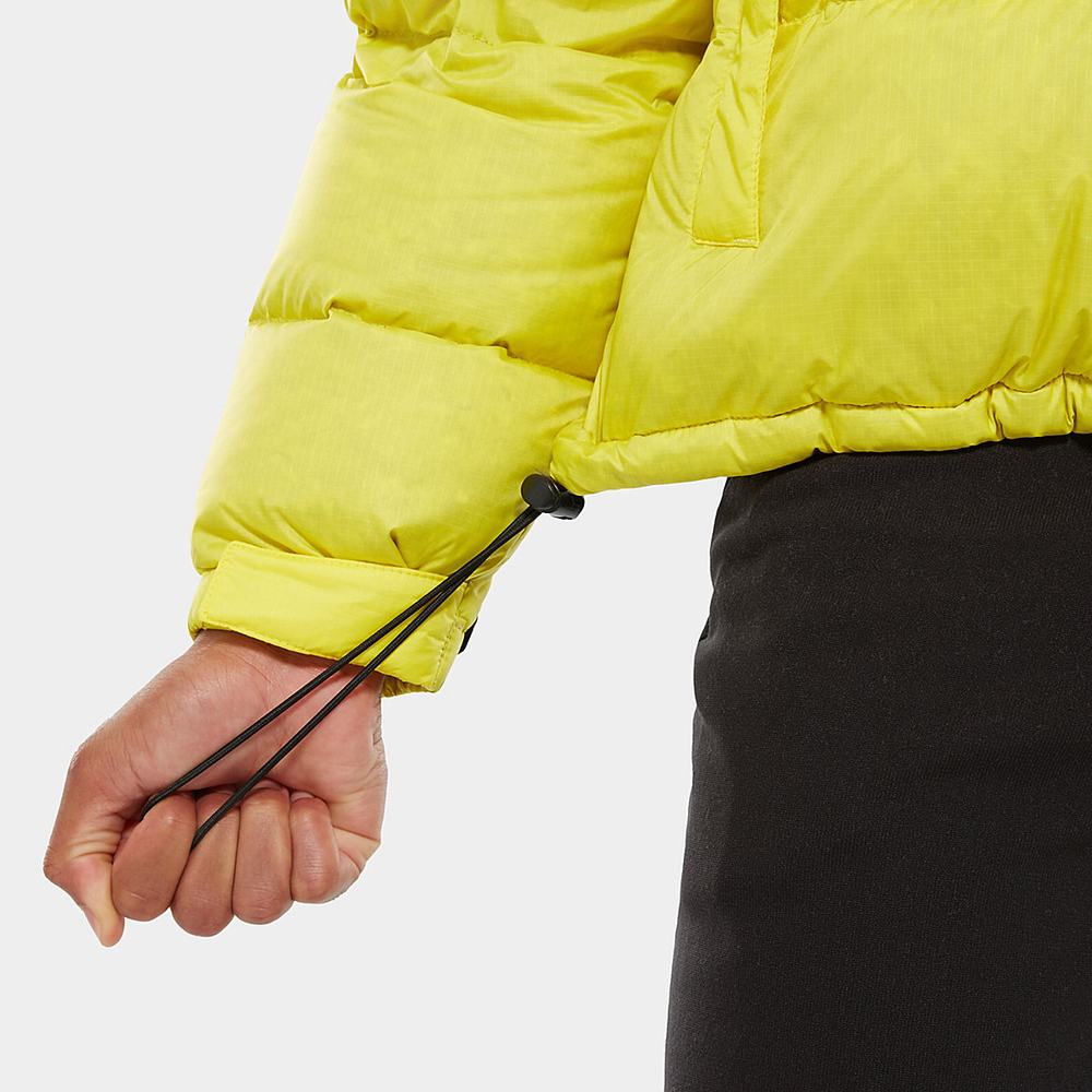 Páperová Bunda The North Face 1996 Retro Nuptse Packable Panske Citrón | LWF-940673