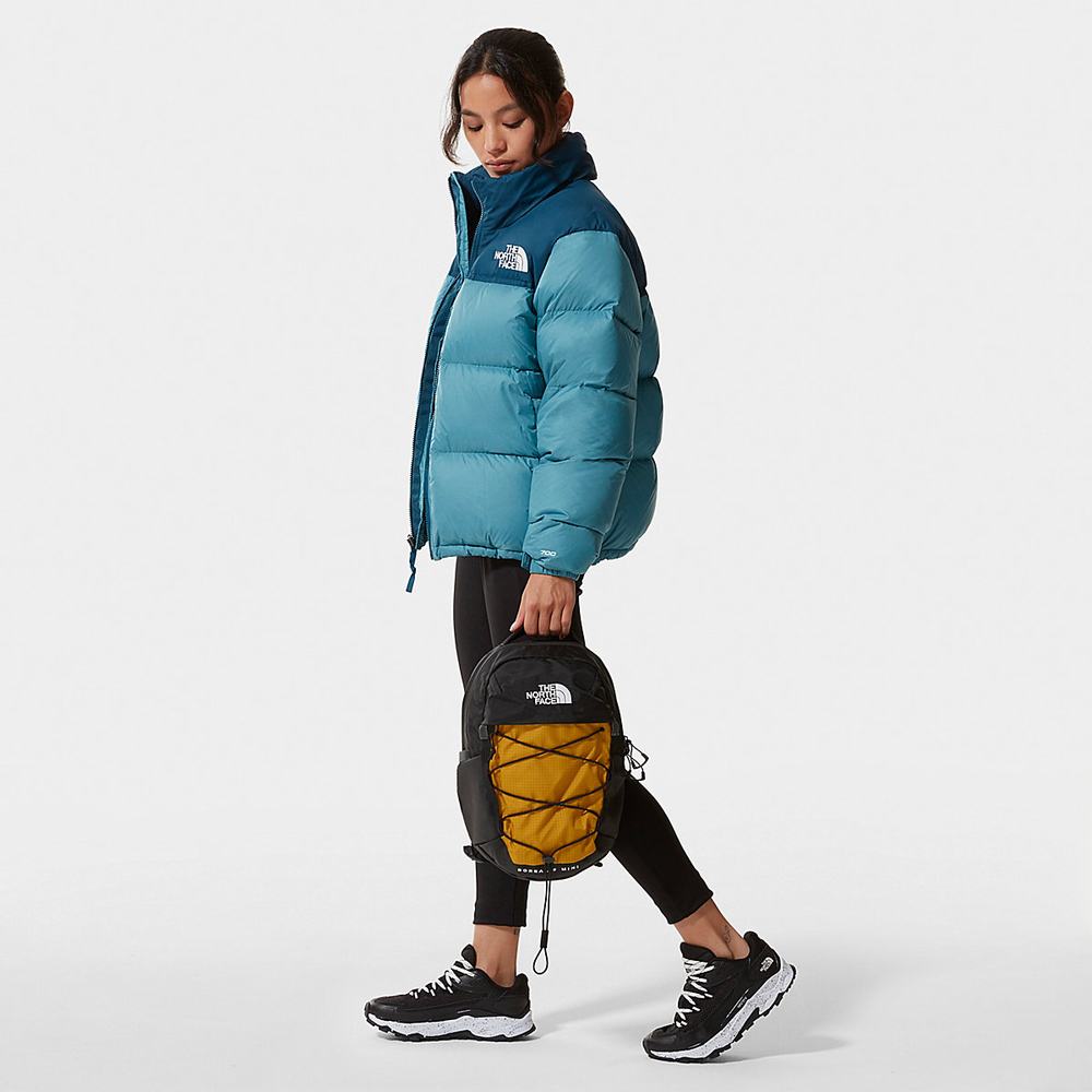 Páperová Bunda The North Face 1996 Retro Nuptse Damske Modre | RGW-382469
