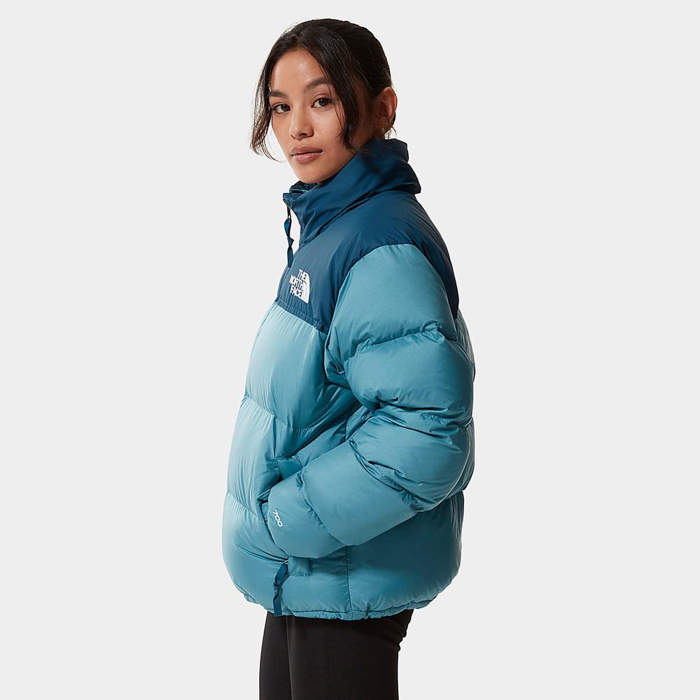 Páperová Bunda The North Face 1996 Retro Nuptse Damske Modre | RGW-382469