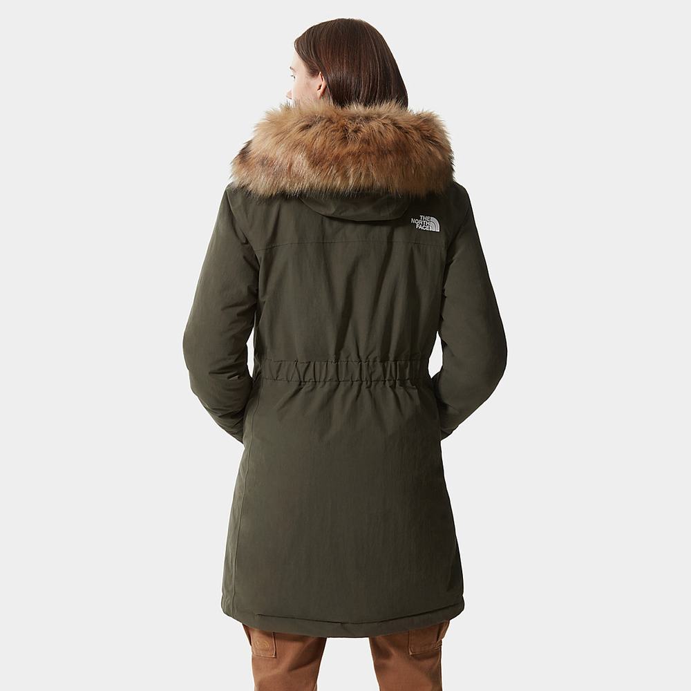 Páperová Bunda The North Face Arctic Damske Zelene | GTV-150326