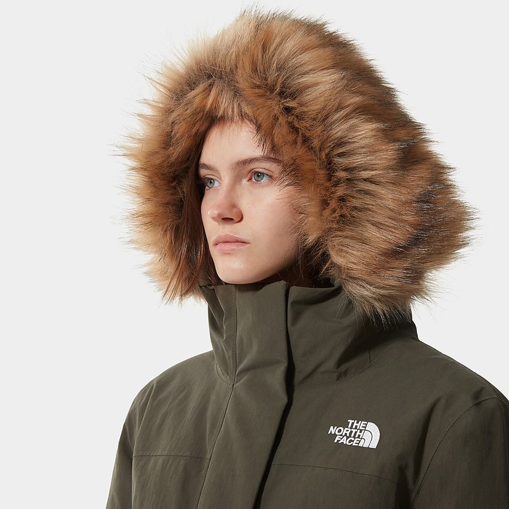Páperová Bunda The North Face Arctic Damske Zelene | GTV-150326