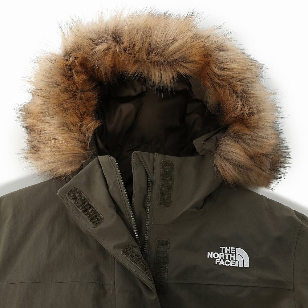 Páperová Bunda The North Face Arctic Damske Zelene | GTV-150326