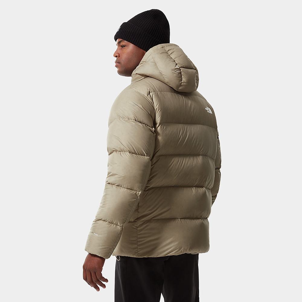 Páperová Bunda The North Face City Standard Panske Svetlo Hnede | ZNE-853027
