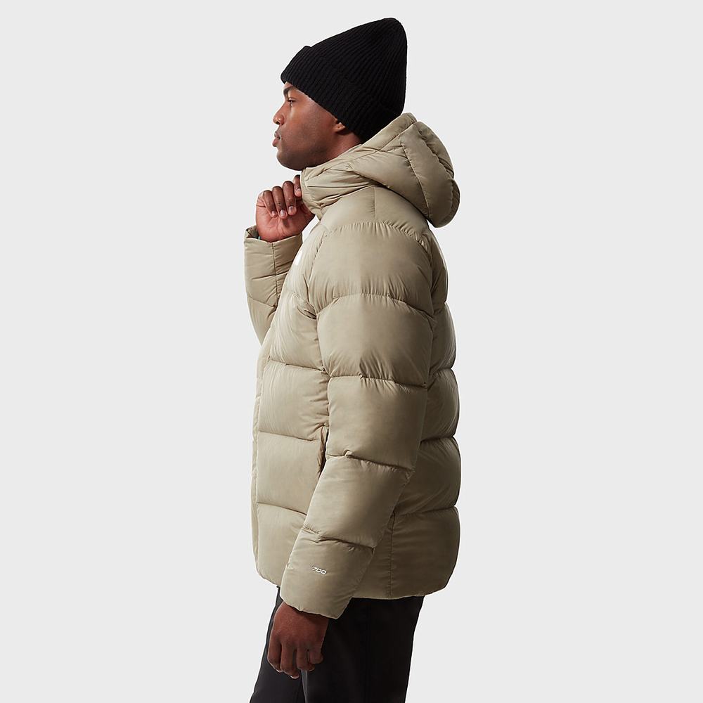 Páperová Bunda The North Face City Standard Panske Svetlo Hnede | ZNE-853027