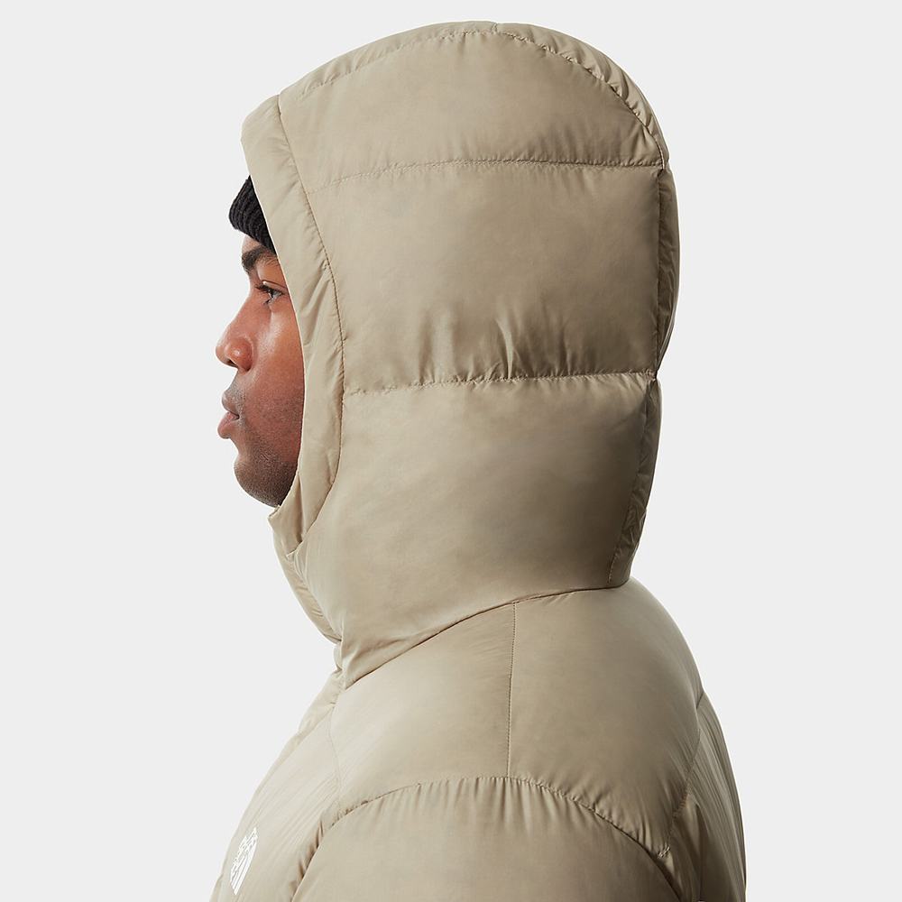 Páperová Bunda The North Face City Standard Panske Svetlo Hnede | ZNE-853027