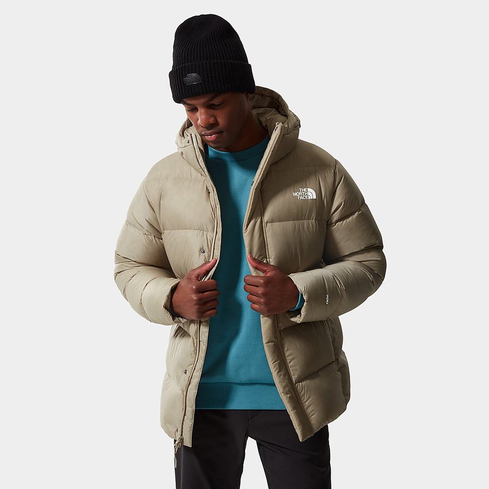 Páperová Bunda The North Face City Standard Panske Svetlo Hnede | ZNE-853027