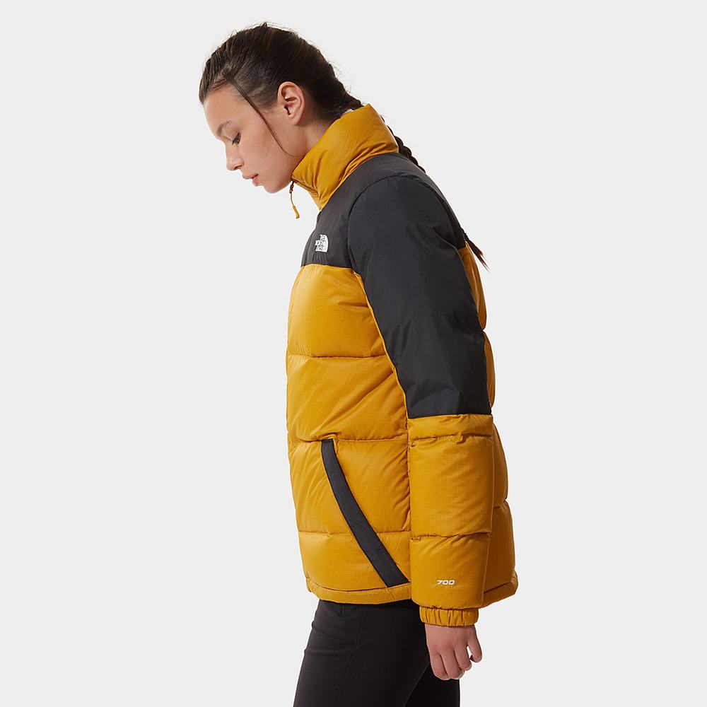 Páperová Bunda The North Face Diablo Damske Žlté Čierne | KRI-305719